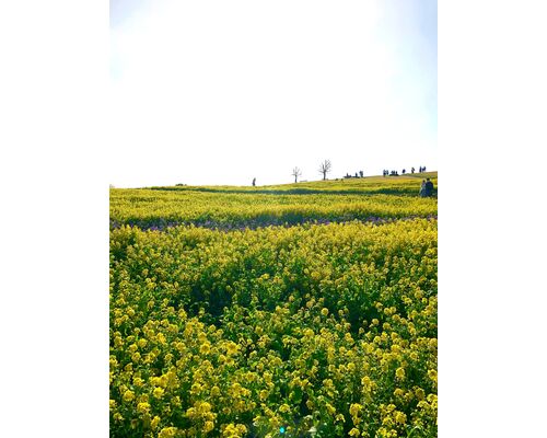 4950B1EF-9401-4023-8F31-FC1F8BBDE17E